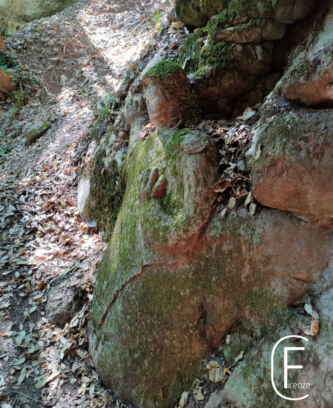 Grotte di Maurizio a Gambassi Terme