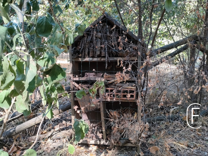 Hotel degli insetti al Parco delle Cascine in difesa della biodiversitÃ&nbsp;