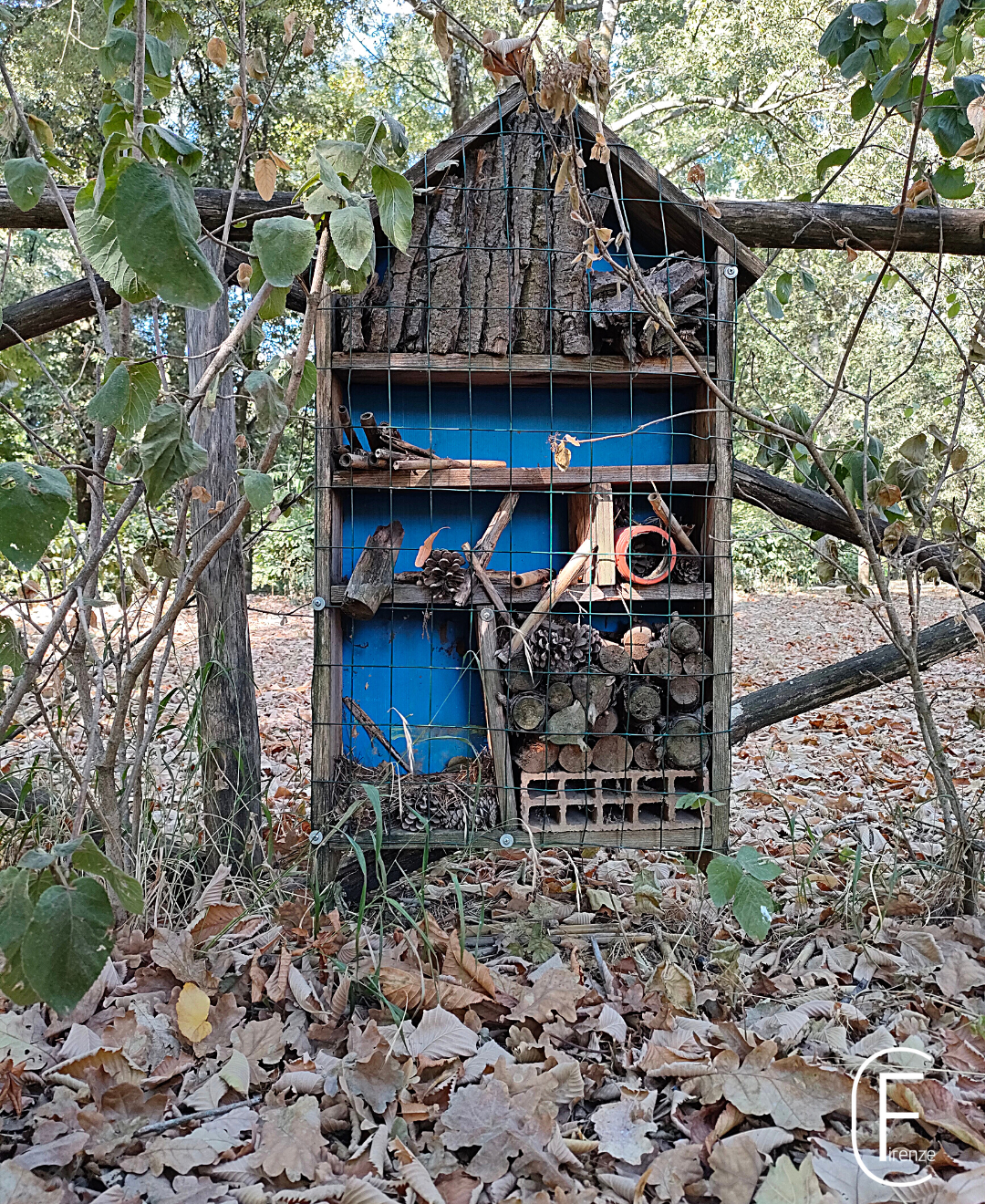 Insect hotels play an important role in biodiversity conservation, both in urban and natural environments, providing a suitable habitat for various insect species.
