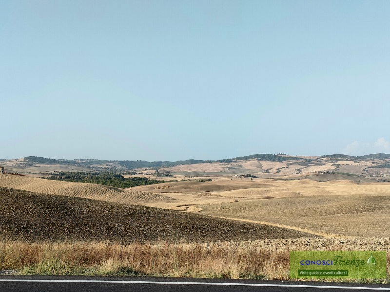 I Boschi di querce, gli Oliveti i Vigneti e i famosi Vini toscani di nome Brunello