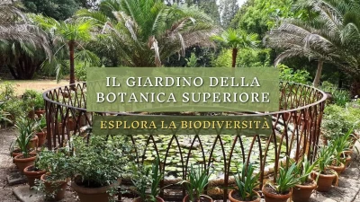Il Giardino della Botanica Superiore