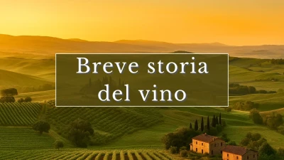 Breve storia del vino