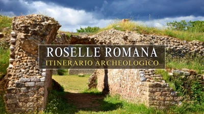 Roselle romana