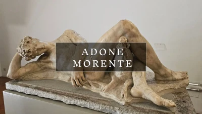 Adone morente