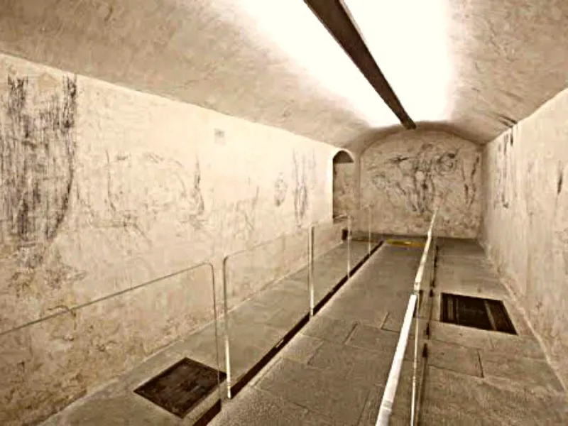 Michelangelo and the secret room.