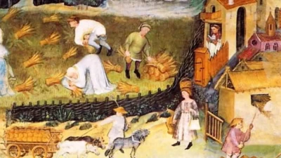 La Mezzeria o Mezzadria