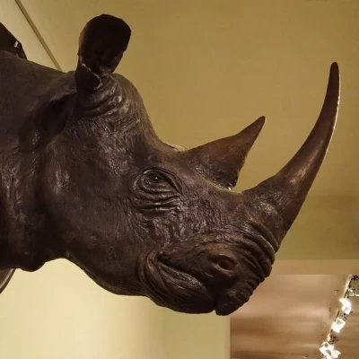 museo-della-specola-firenze