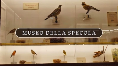Museo La Specola per le scuole