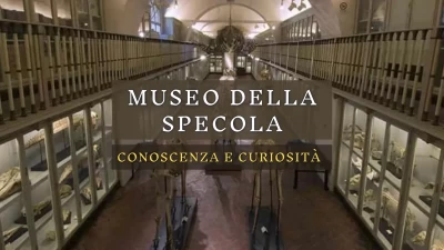 Il museo della Specola