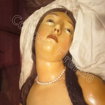 Museo-della-specola-firenze-cere-anatomiche