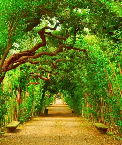Elementi naturali nel giardino - Arte e cultura